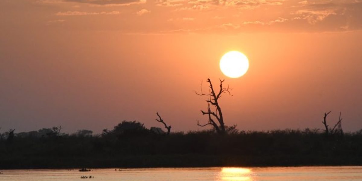 Pantanal-Tempo-Foto-Bruno-Rezende-16-730x480